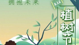 绿色的承诺:植树节的意义与实践 绿色的承诺:植树节的意义与实践